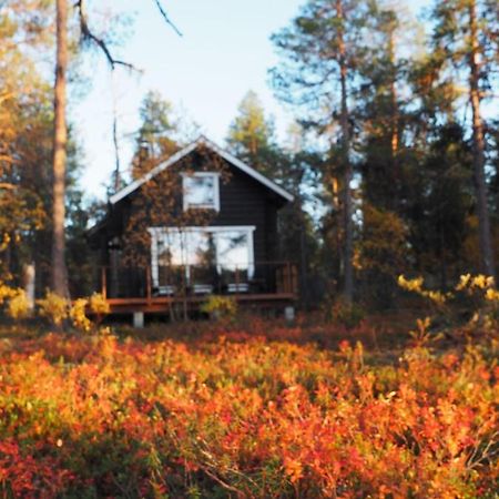 Lapintintti Eco-Cabin In Inari Ngoại thất bức ảnh