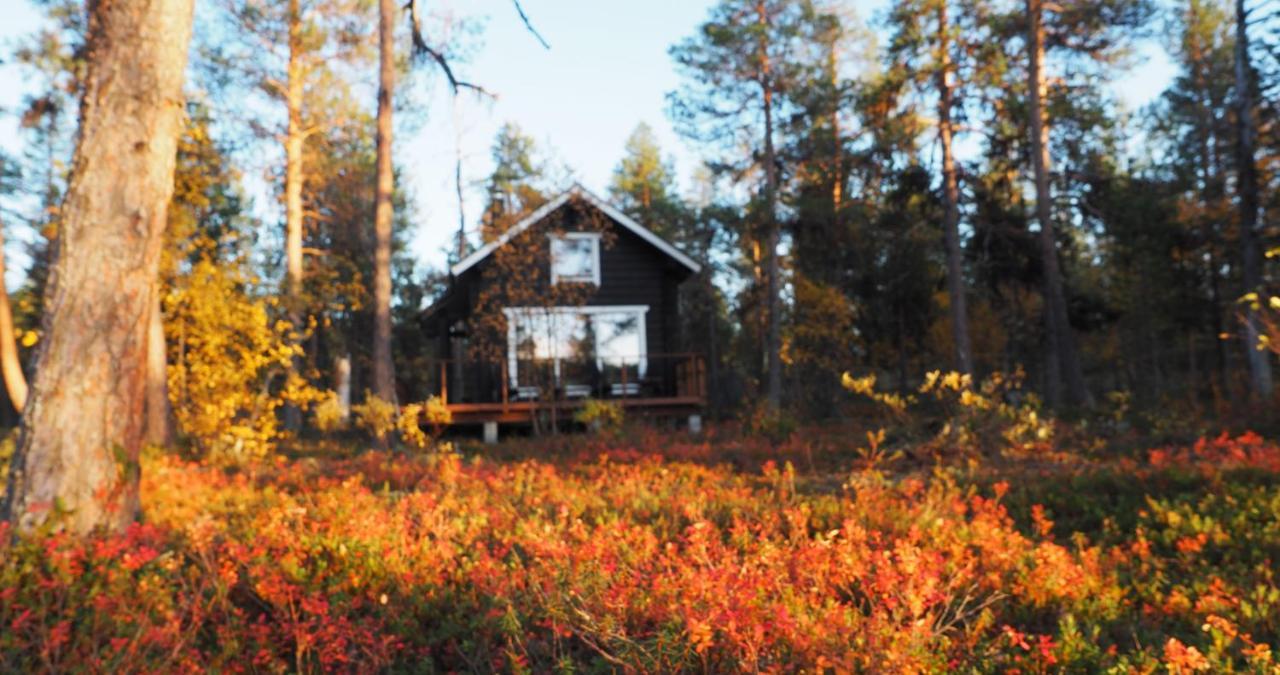 Lapintintti Eco-Cabin In Inari Ngoại thất bức ảnh